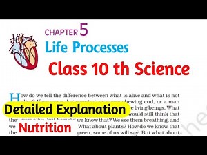 Life Processes Class 10 Science | Chapter 5 Full Explanation with Examples | NCERT Biology PSEB/CBSE