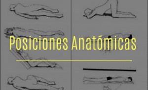 POSICIONES ANATOMICAS