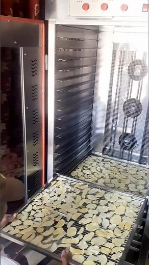 Dehydrator 24 tray! #mango dry process on dehydrator