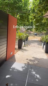 Restaurant Les Inséparables on Reels