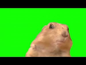 Dramatic Chipmunk Meme Green Screen