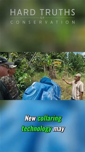 Tech to the Rescue: Helping End the Elephant vs Human Conflict!