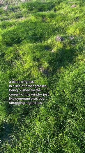 sometimes i feel like this and i can’t explain it #freewrite #fyp #nature