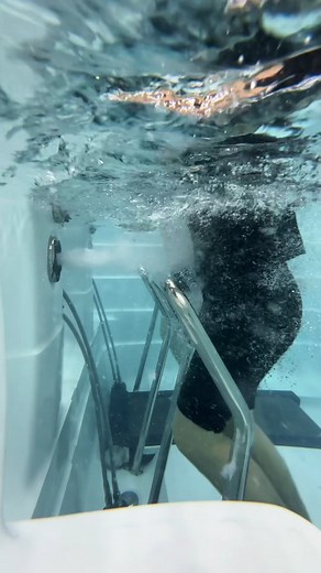 AQUAMAXX-Underwater Treadmill & Rehabilitation Equipment on Instagram: "Work out with your friends and partners on the 630 underwater treadmill! With its strong resistance nozzle, you’ll get twice the workout benefits! #running #exercise #workout #AQUAMAXX #fitness #treadmill #underwatertreadmill #underwater #underwatersports #rehabilitation #dailyworkout #underwatertraining #sports"