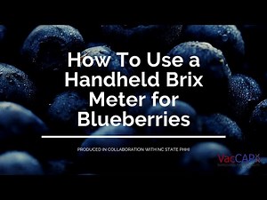 How To Use a Handheld Brix Meter for Blueberries