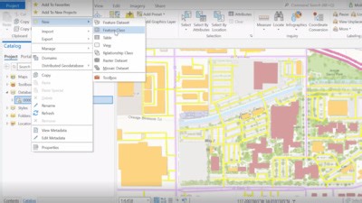 How To: Manage Subtypes in ArcGIS Pro