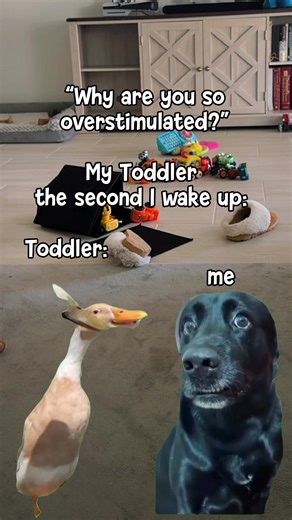 Navigating the Boy Mom Life: Daily Adventures