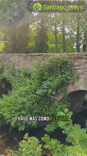 Vicky nos cuenta su experiencia en el Camino de Santiago, su motivación y lo mejor de esta travesía. ¡Vive la magia del Camino de Santiago! | Santiago Ways