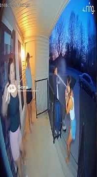 Babysitter Gets DESTROYED by Skunk and Vomits on Parents! 🦨🤮 EPIC FAIL!