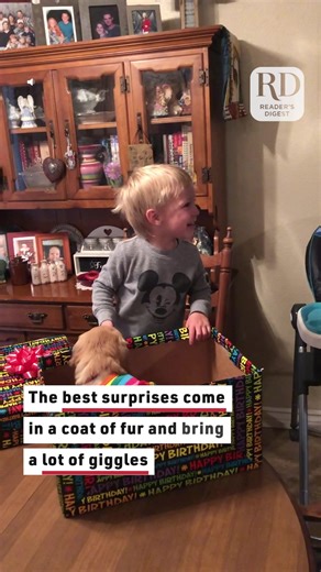 50K views · 565 reactions | The start of a lifelong friendship! | Reader's Digest | Facebook