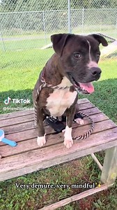 2K views · 127 reactions | Block Head is very demure and mindful✨李...