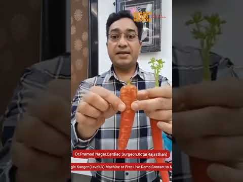 Carrot Live Demo with Kangen Water and Normal Water