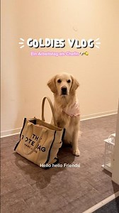 Do you have any questions for me? 🐶 #smallbusiness #stationery #diy #bulletjournal #haul #planning