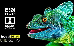 4K HDR 画质测试 8K 测试屏幕 极致HDR色彩体验 视觉体验 测试Oled miniled屏幕 8K原素材