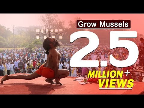 Grow Mussels Within 7 Days by Ayurvedic Medicines- Swami Ramdev