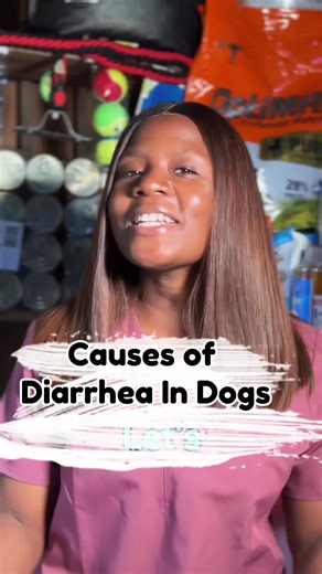 Understanding Diarrhea in Dogs: Causes and Solutions