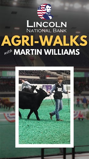 We're back at it! 🏆🐄 This month on Agri-Walks, Martin headed to the North American International Livestock Expo in Louisville to catch up with Nelson County High School student Tyler Lundy, who brought his A-game to one of the world's largest all-breed livestock shows. Congratulations to Tyler for placing 4th in this class! At LNB, we believe in showing up—not just for business, but for the students, farmers, and families who make our community thrive. Whether you're closing a deal or showing 