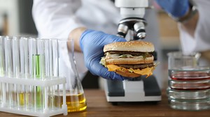 Will McDonald's Ever Use Lab-Grown Meat For Its Burger Patties? - Daily Meal