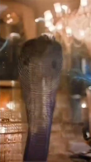 Tere sang pyar me nhi chidna naagin bgms #naagin #naagmani #naagin7 #bollywood #love #naamkarann