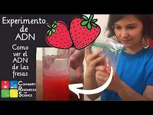 Ciencia en Casa: Extracción de ADN [Ver el ADN de las Fresas]