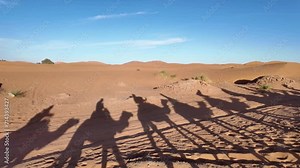 A group of tourists on a camel ride across dunes in the Sahara Desert, Merzouga. Tourists wear traditional Berber Amazigh scarf. Camel shadows reflect on the sand.
