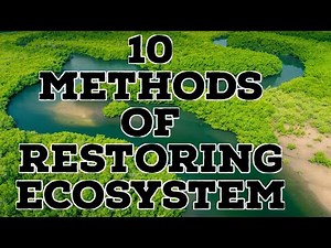 10 METHODS OF RESTORING ECOSYSTEM