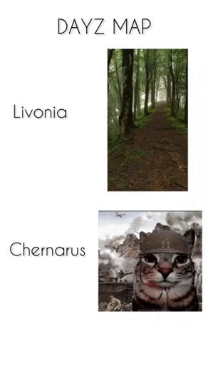 Dayz Standalone on Instagram: "What do DayZ's maps feel like: #dayz #dayzstandalone #dayzcommunity #dayzpc #dayzsa #dayzps4 #dayzmod #dayzxbox"