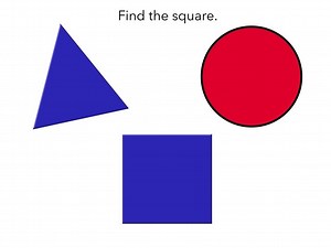 Shape Identification