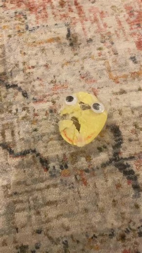 Mr Crisp official على TikTok