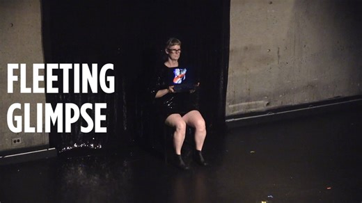 FLEETING GLIMPSE