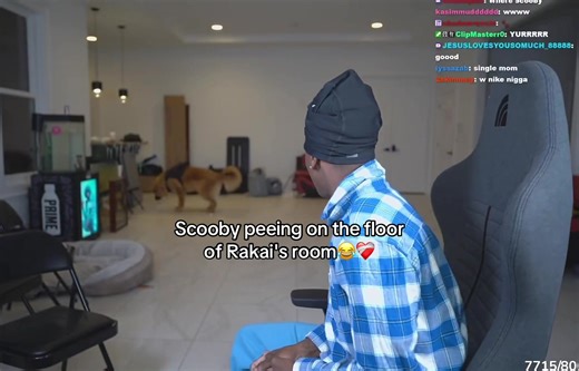 Scooby's Hilarious Moment in Rakai's Room