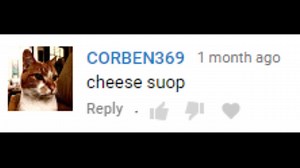 My comment section in a nutshell | Part 6