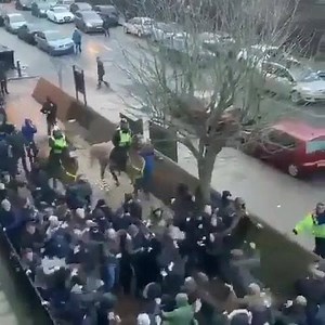 46K views · 635 reactions | Millwall vs Everton | THE FIRM | Facebook