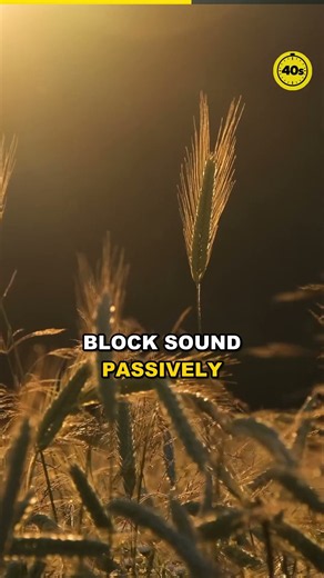 How Noise‑Cancelling Headphones Actually Work (in 40 seconds) #Shorts