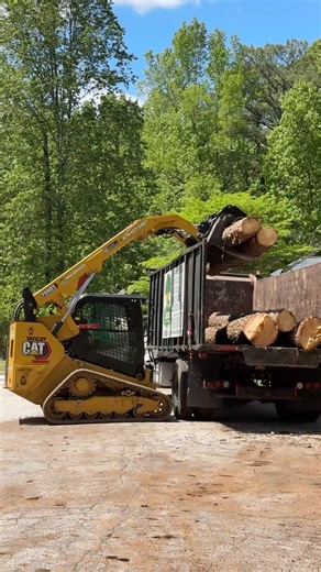 50 reactions |  Tree Service Project  Stone Mountain, Ga . ️Call us right now and get a #freeestimate ☎️(678) 457-3487 ✅Fully Insured ✅licensed . . . #trees #treeremoval #treework #arborist #tree #stihl #stumpgrinding #treecare #landscaping #treetrimming #usa #georgia | Jireh Tree Services & Landscaping | Facebook
