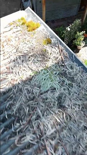 How does gutter guard work? what is the cost to get gutter guards installed?