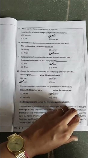 competency based assessment 2 exam paper solution class 6th subject English