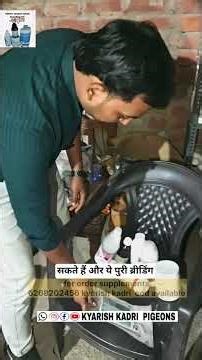 sardi ki breeding kit #pigeon #raisenpigeons