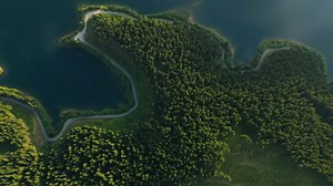 Aerial view of a forest, a Lake and the road - Free Stock Video