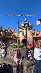 2.2K views · 61 reactions | Heb je ooit zo’n mooie toiletten gezien?  De meeste mensen komen er alleen voor een praktisch bezoek, maar de tijd nemen om de Rapunzel-details te spotten, is zeker de moeite waard. Extra tip: er zijn in de omgeving tien verschillende Pascals te vinden, een kleine kameleon. Deze toiletten maken deel uit van Disney’s Magic Kingdom in Florida. 殺  #disney #themepark #rapunzel #toilet #waltdisneyworld #florida | Florivida | Facebook