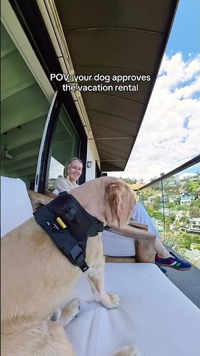 This is the way your vacation should look #dog #vacation