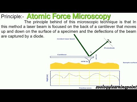 AFM/Atomic Force Microscopy