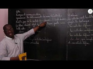 Course - CM1 - French: Grammar / Determinants of the noun: the article / M. Gassama