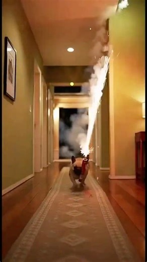 Fight: Hellfire Rush! 🔥(法鬥：地獄火衝刺！🔥) #funny #youtube #youtubeshorts #shorts #ai #aifunny