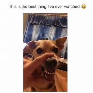 4.5K views · 116 reactions | OMG! This Epic藍 | My Funny App | Facebook