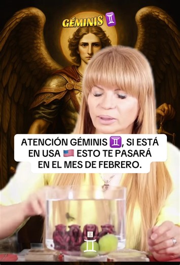 #gemini #horoscope #cartastarot #zodiac #usa🇺🇸