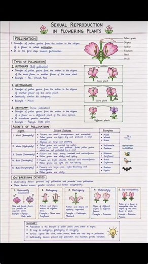 Class 12 Biology Chapter 1 Notes | Sexual Reproduction in Flowering Plants | Quick Revision 📝#shorts