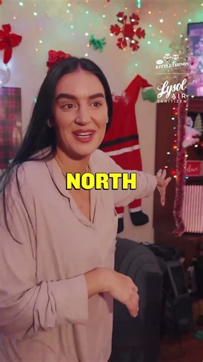 The Kittles Have An Entire Christmas Room!?