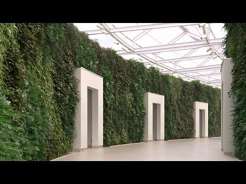 TUTORIAL: Scattering on Vertical Surfaces with Forest Pack (intermediate)