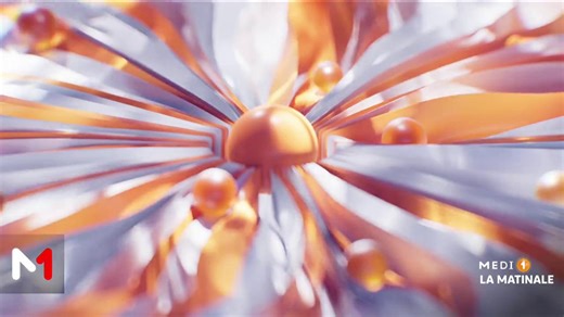 Story Eco: zoom sur les projets de loi concernant le code du commerce et l'assurance maladie obligatoire #laMatinale | Medi1TV